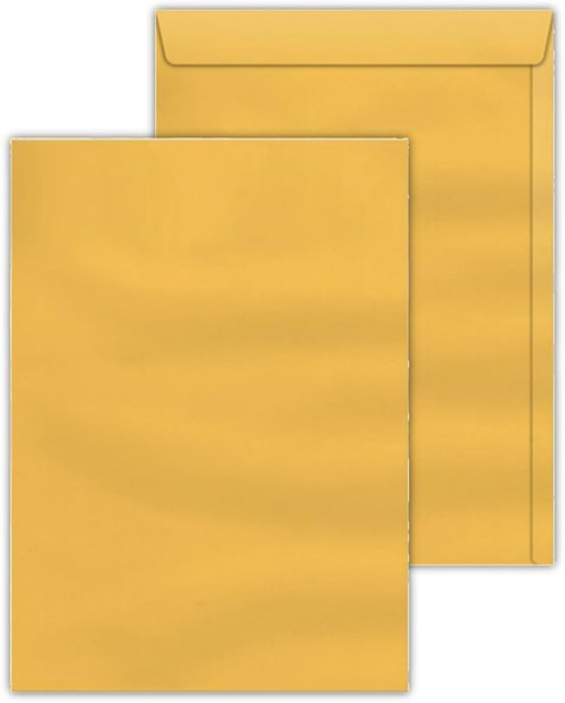 Envelope Saco Scrity 2733 Ouro 229x324 10 Unidades