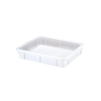 Bandeja Pl&aacute;stica Branca Pleion 6,5L